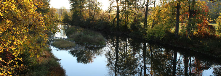 Watershed Assessment