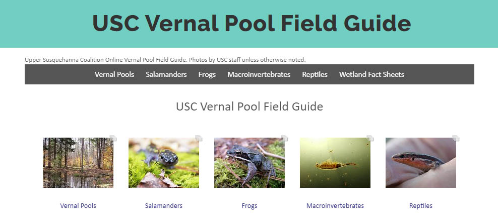 USC Vernal Pool Field Guide