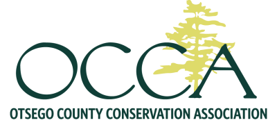 OCCA Logo