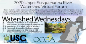 Watershed Wednesdays Week 6