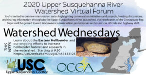 Watershed Wednesdays Week 3