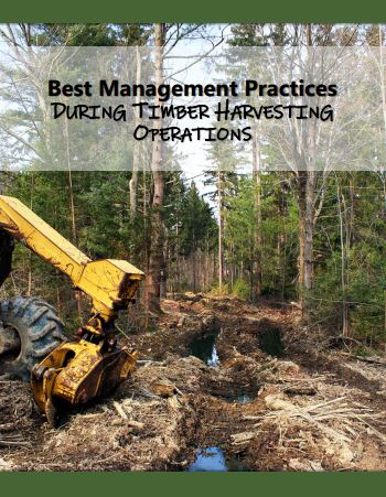Best Management Practices During Timber Harvesting Operations