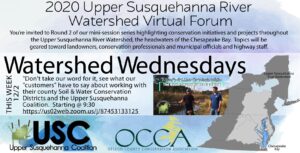 Watershed Wednesdays Week 12