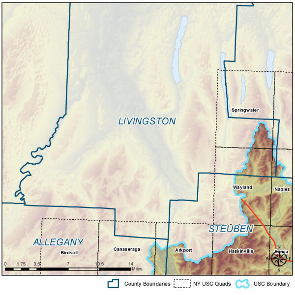 Livingston County Quad Map