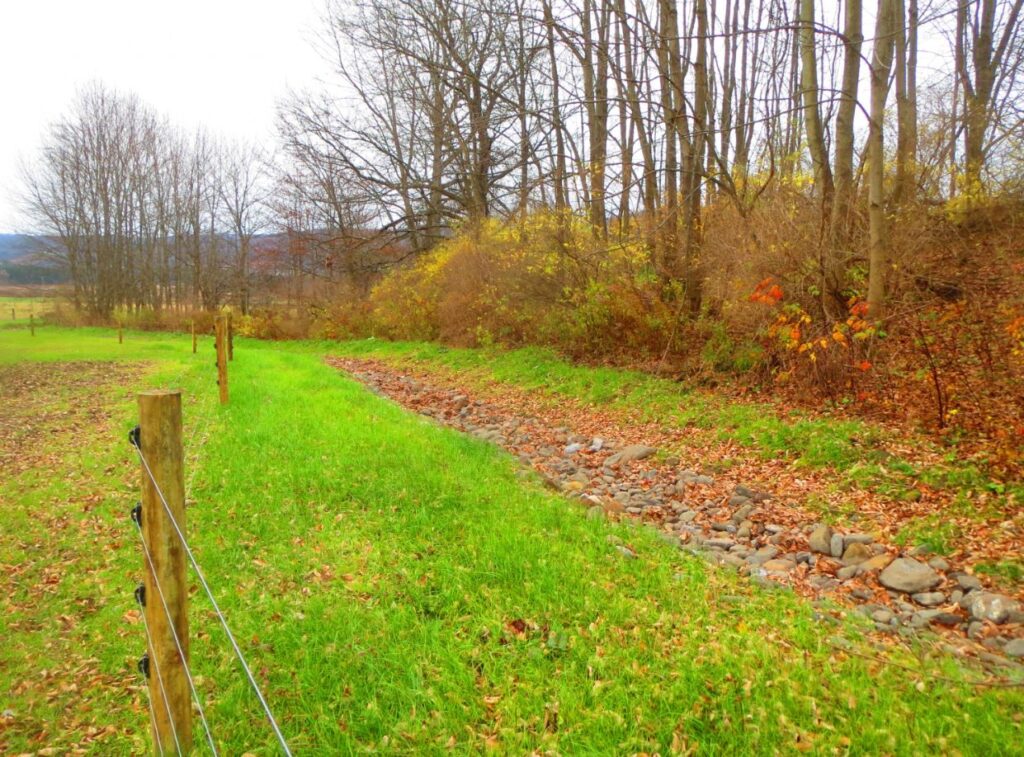 Grassed waterway and livestock fencing