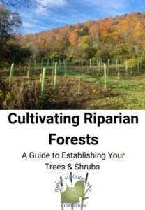  Cultivating Riparian Forests