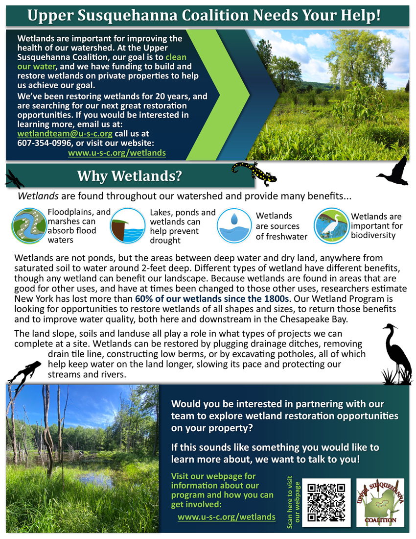 USC Wetland Outreach Flyer