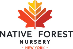 Native Forest Nursery