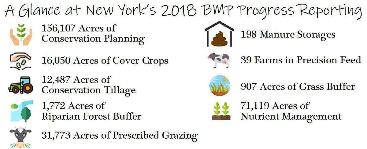 2018 BMP reporting