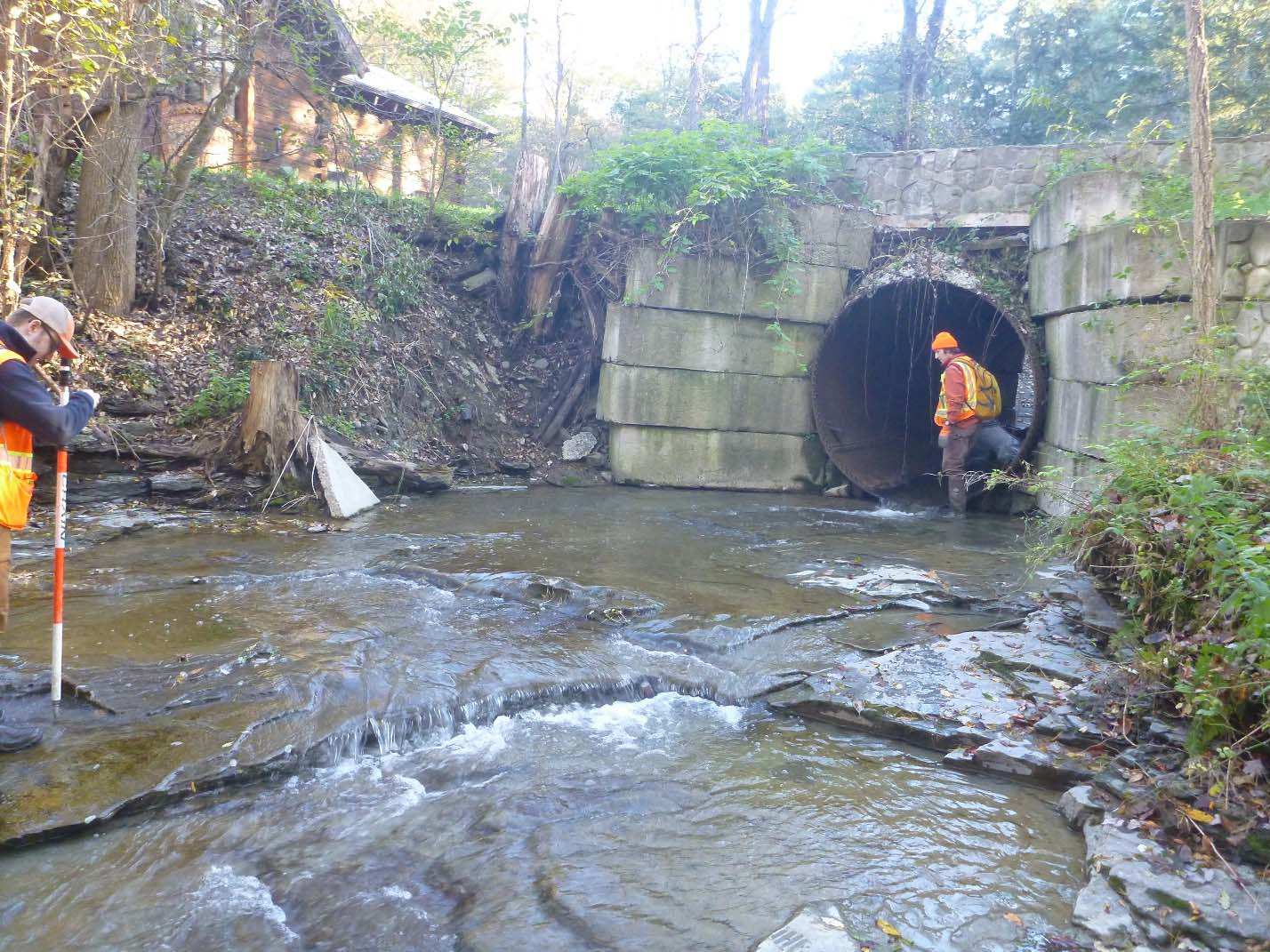 Photo obtained from New York Rising Watershed Assessments in Tioga County