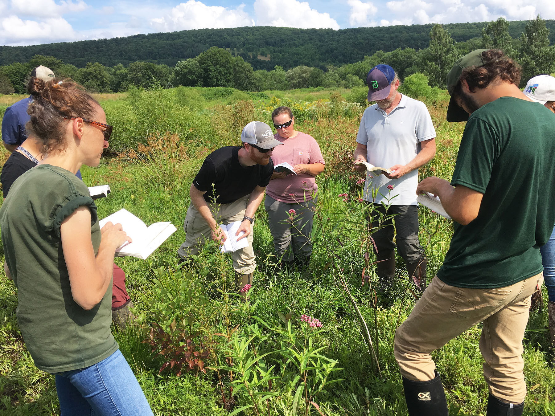USC Hosts Wetland Delineation Training Upper Susquehanna Coalition
