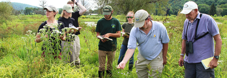 Wetland Delineation Training