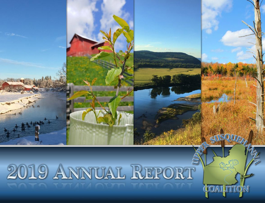 2019 USC Annual Report