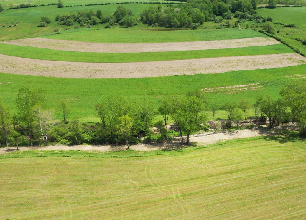 Before buffer planting