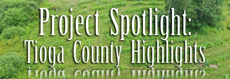 Tioga County Project Spotlight