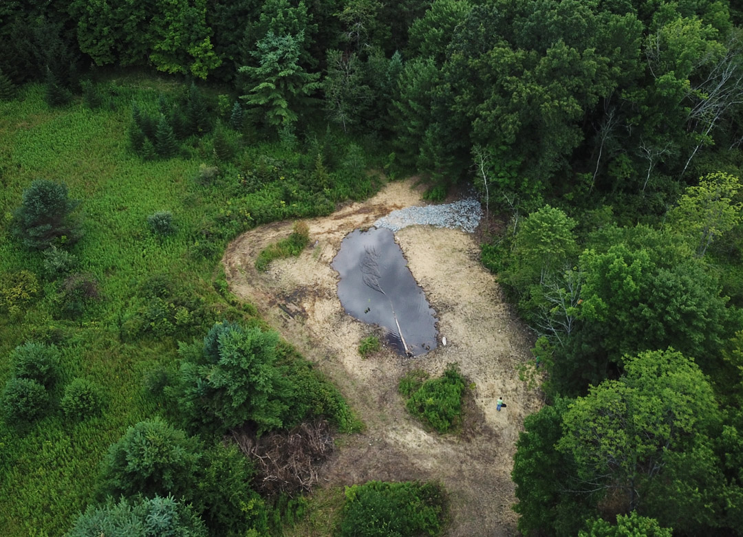 Vernal Pool Aerial