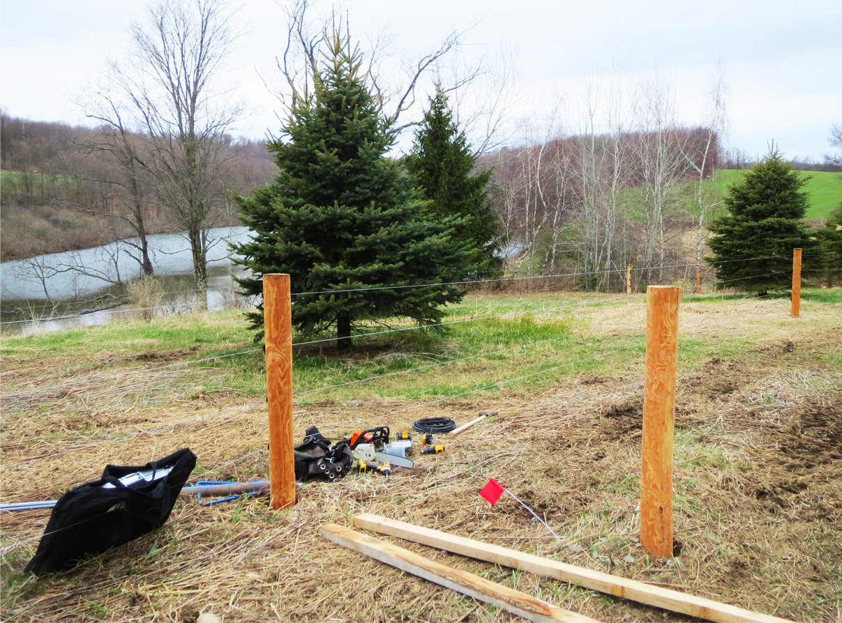 Solar Panel Site