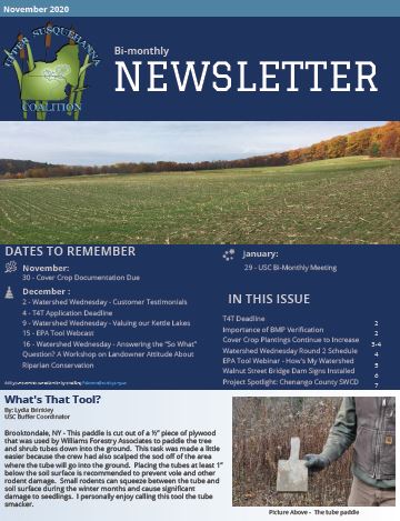 November 2020 Newsletter