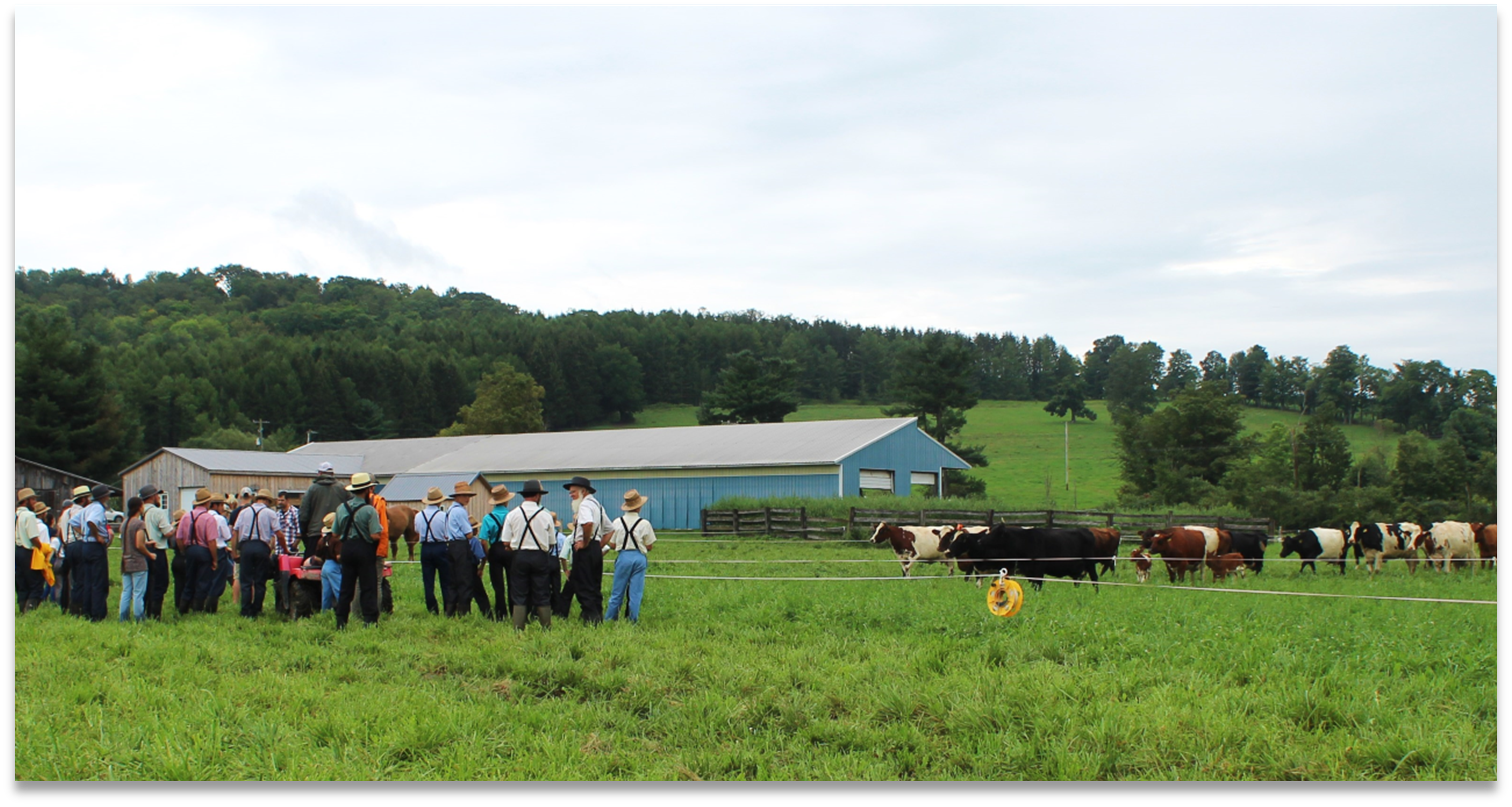 Discussing Dairy Grazing Strategies