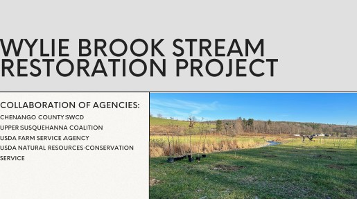 Chenango SWCD - Wylie Brook Stream Restoration Project