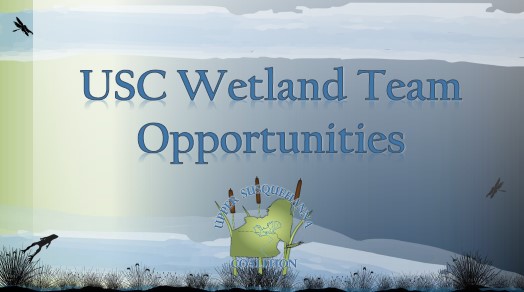USC Wetland Team Opportunities