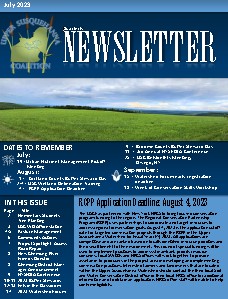 USC Summer Newsletter