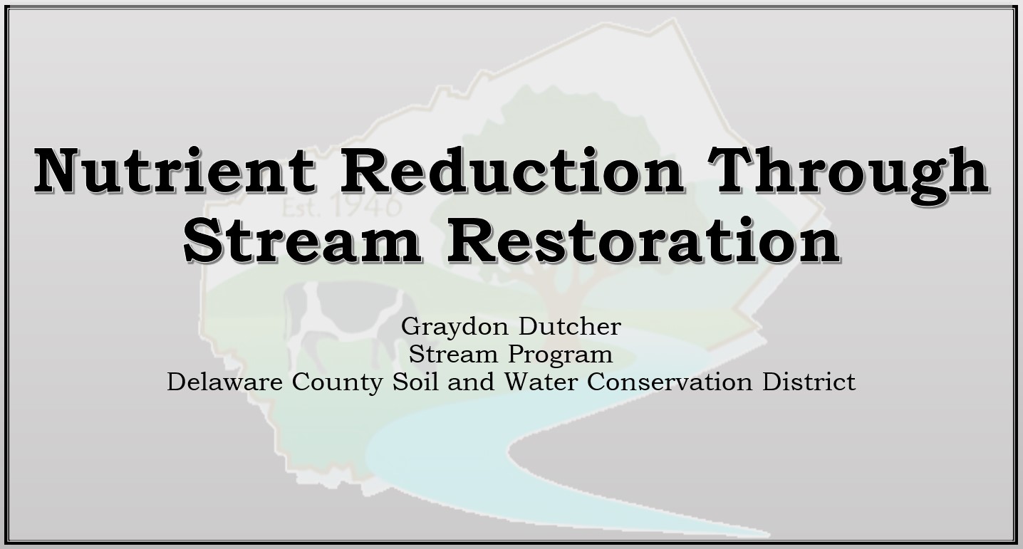 Nutrient Reduction Through Stream Restoration