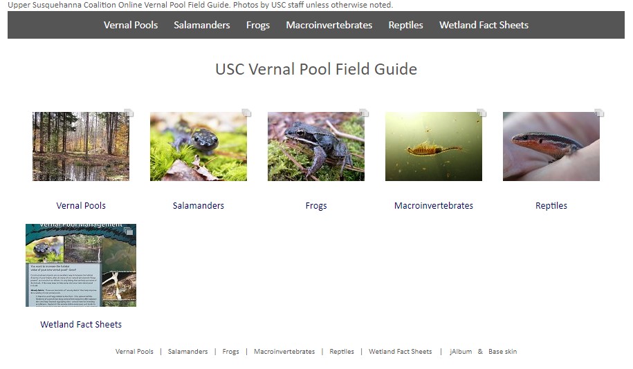 Vernal Pool Field Guide