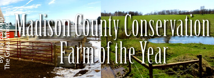 Mad co farm of the year
