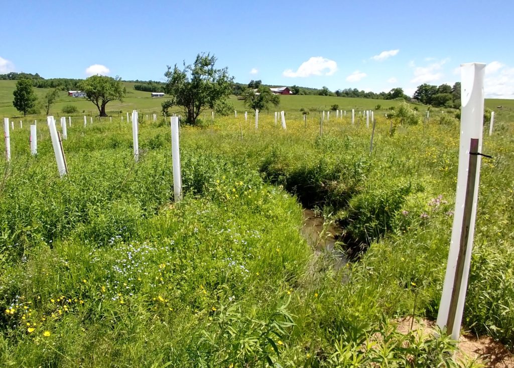 Buffer installation field work