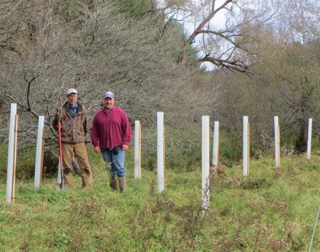Buffer installation field work