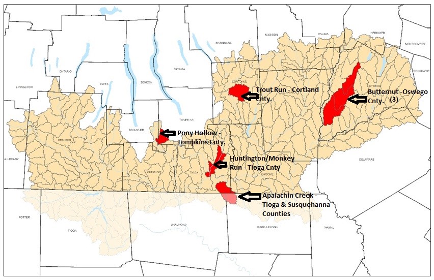 USC I-4 Project Watershed Study