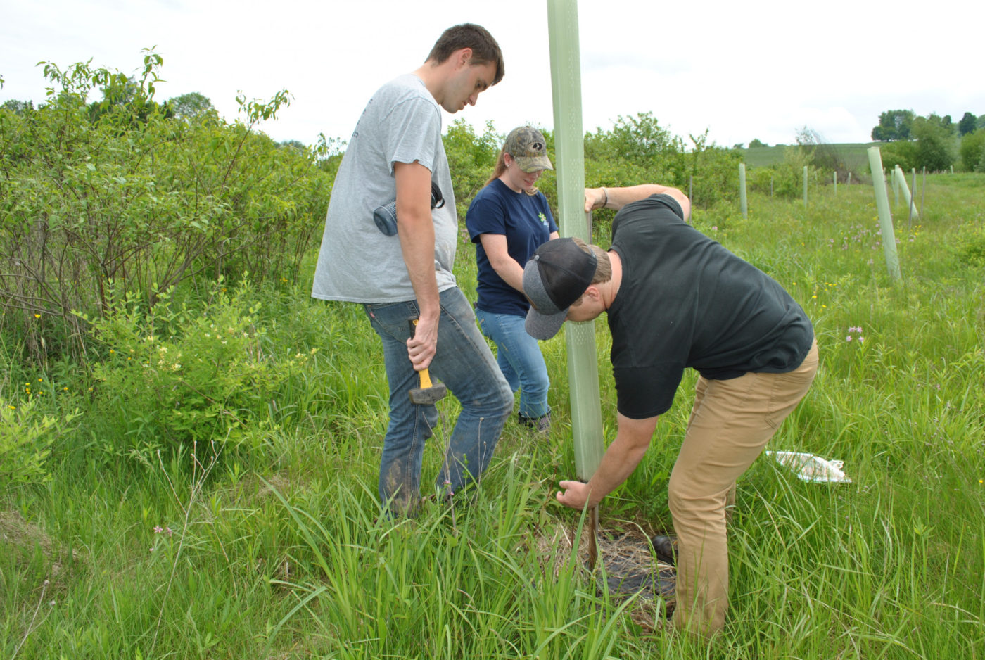 Buffer installation field work