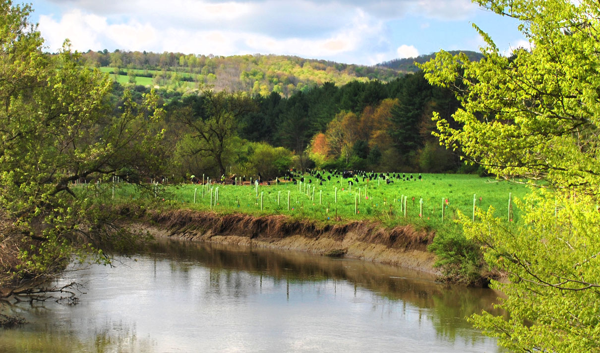 Buffer Installation Project