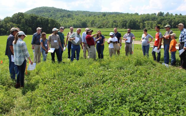 Some of the Ag Data reported to the CBP