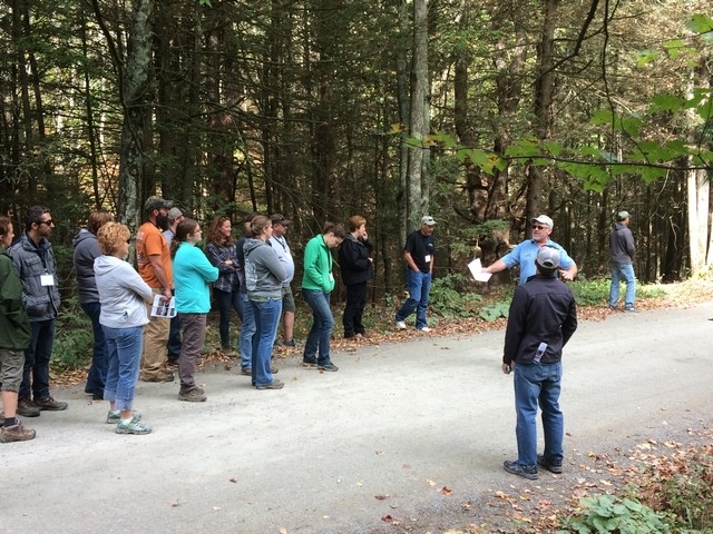 USC I-4 Project Watershed Study