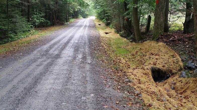 I-4 Volunteer Training Event