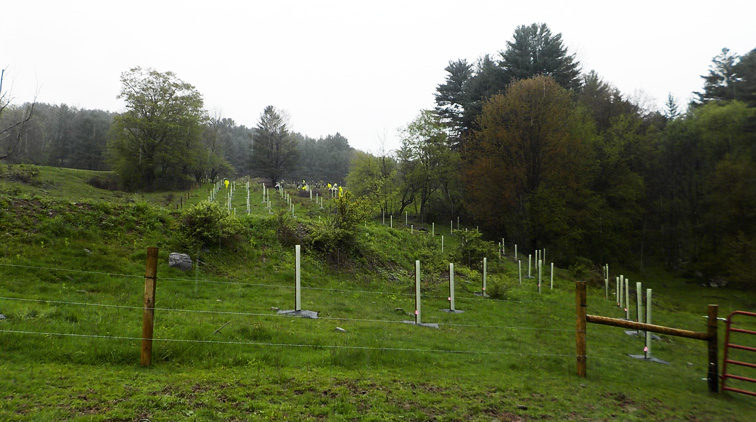 Great Team of Buffer Workers