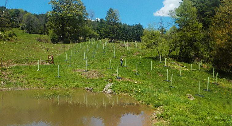 Great Team of Buffer Workers