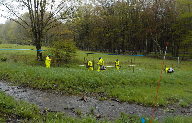 USC Buffer Team and Partner Planters