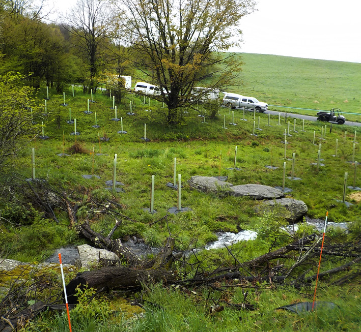 Buffer installation field work