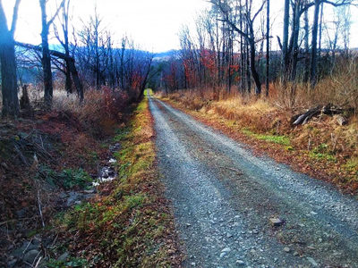 USC I-4 Project Watershed Study