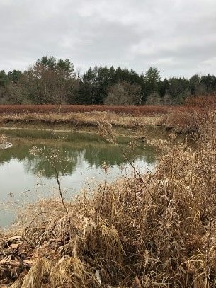 USC I-4 Project Watershed Study