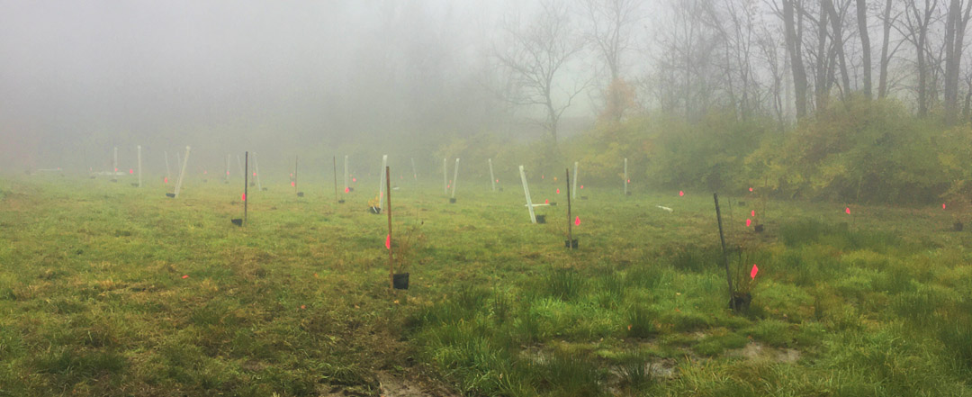 USC I-4 Project Watershed Study