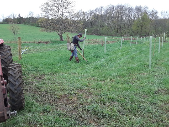 USC I-4 Project Watershed Study