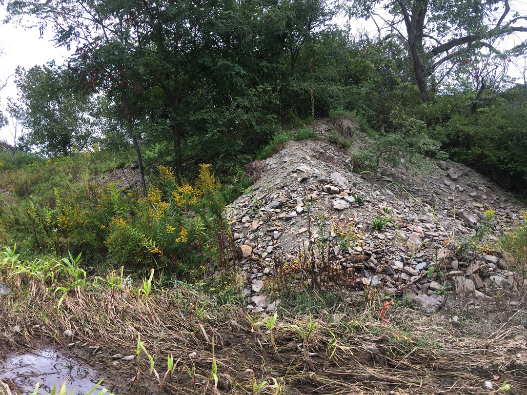 I-4 Volunteer Training Event