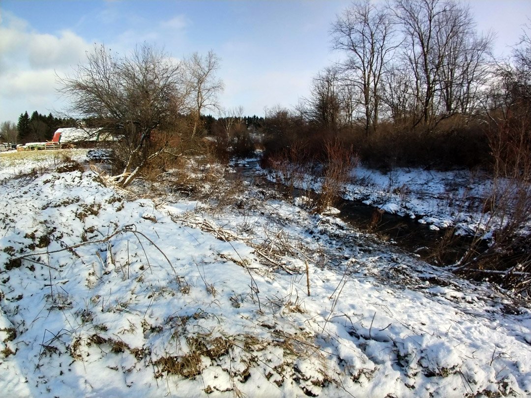 USC I-4 Project Watershed Study