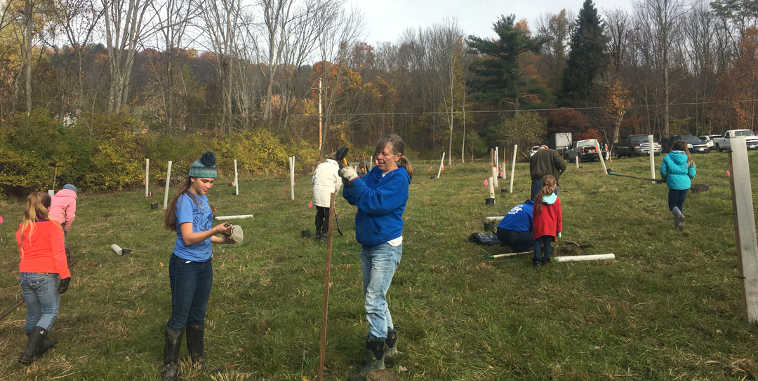 USC I-4 Project Watershed Study