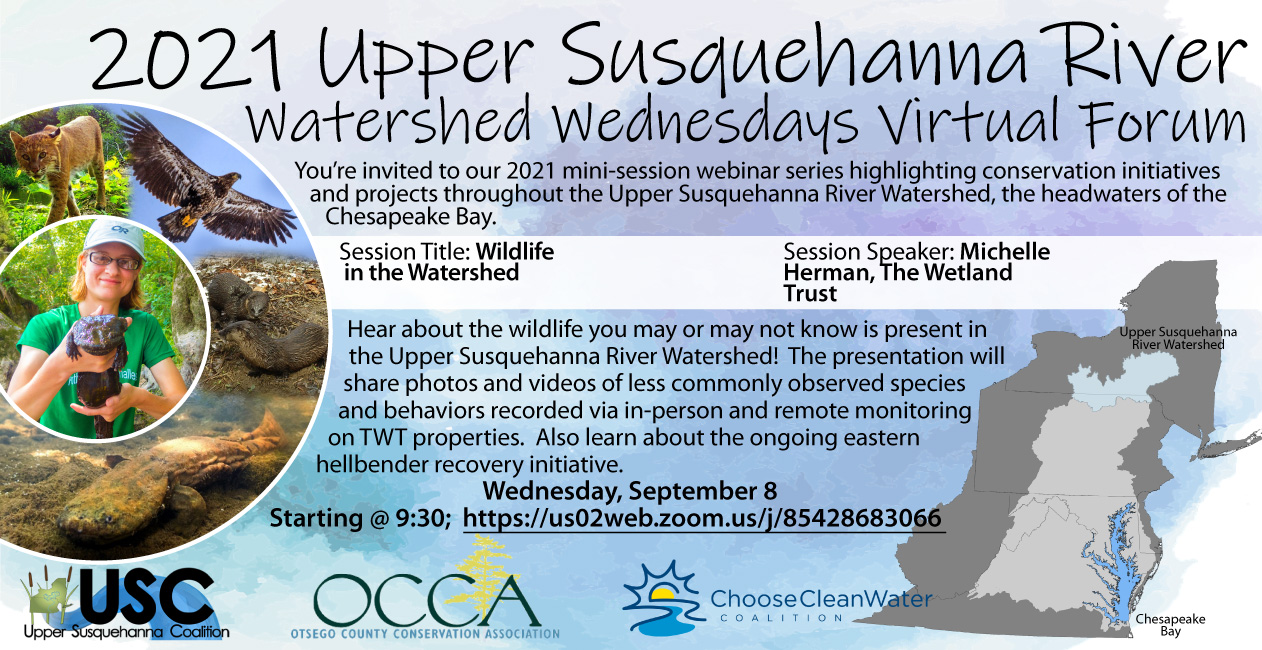 September 8 Webinar Announcement