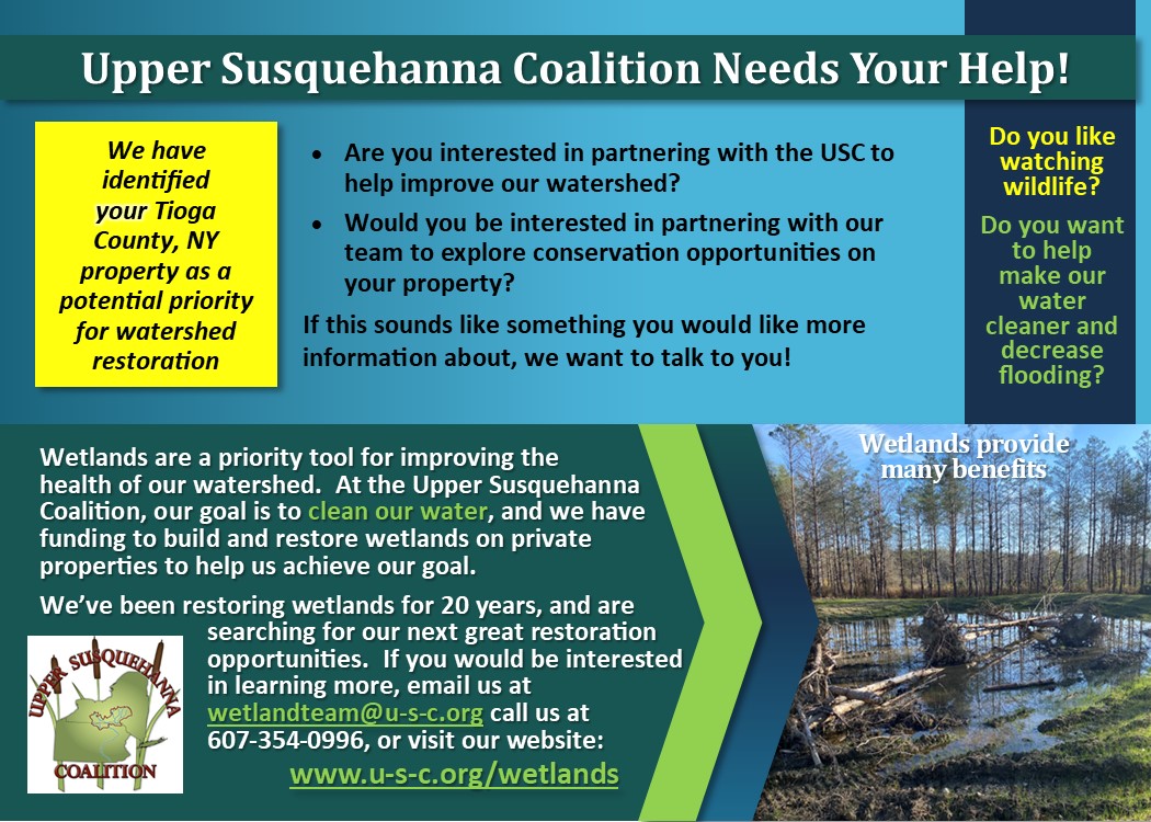 Wetlands Mailer page 1